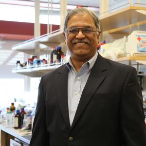 Vijay Gokhale, PhD, co-inventor and senior research scientist at the UA BIO5 Institute. Photo credit: Paul Tumarkin/Tech Launch Arizona