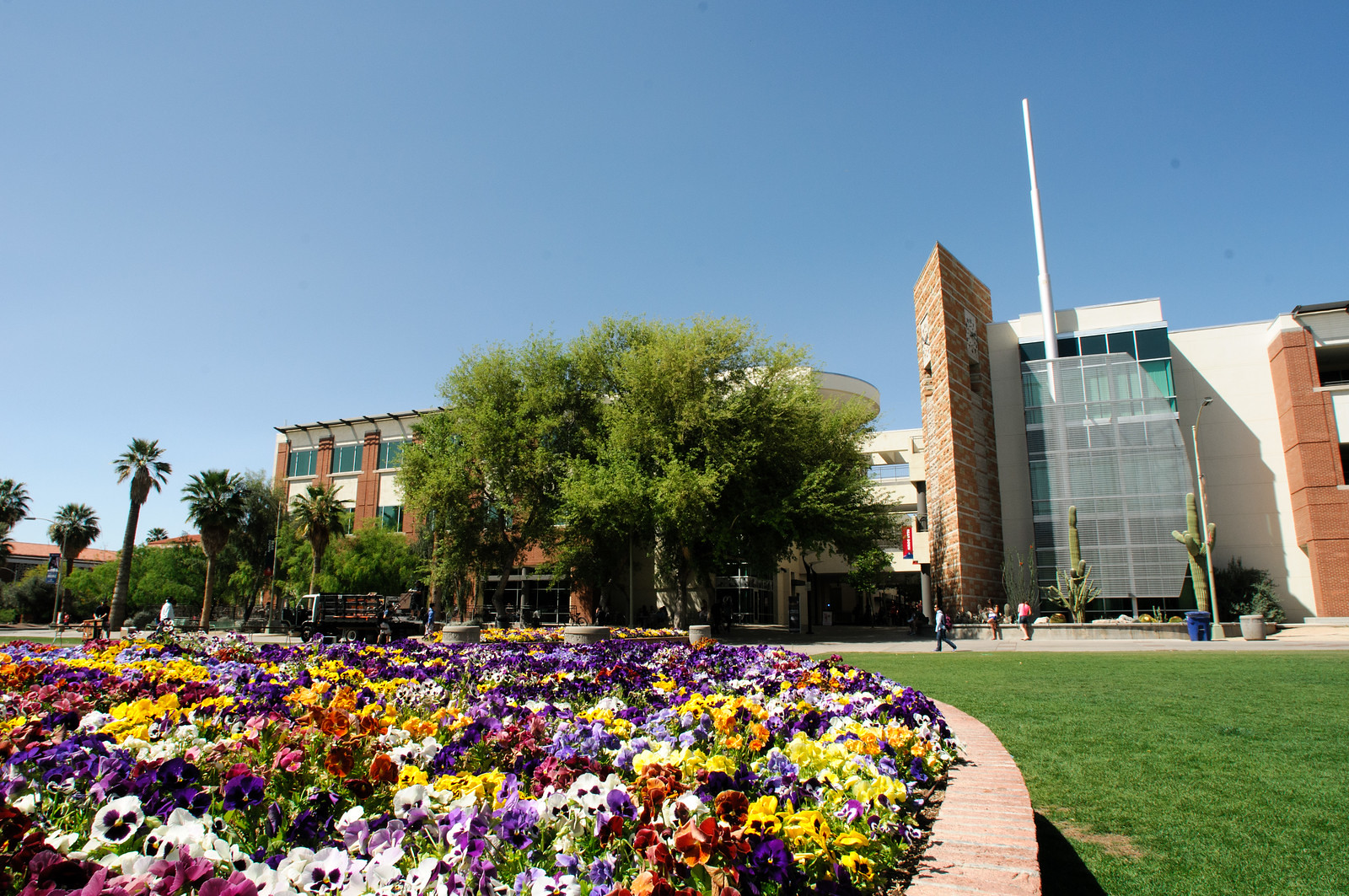 UArizona Professors Elected into the National Academy of Inventors