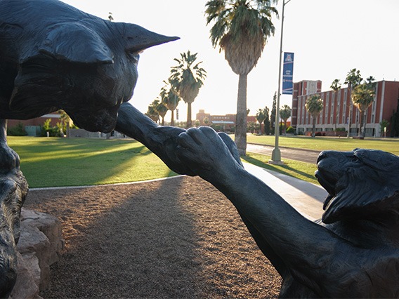 Sunset over the wildcats statue on the UArizona mall. 