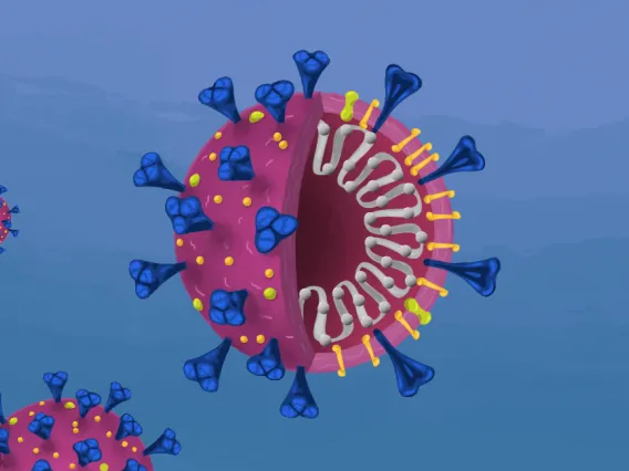 An illustration of the COVID-19 virus