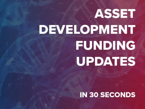 Asset Development Updates in 30 Seconds