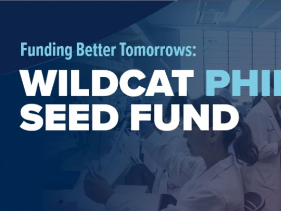 Wildcat Philanthropic Seed Fund Banner