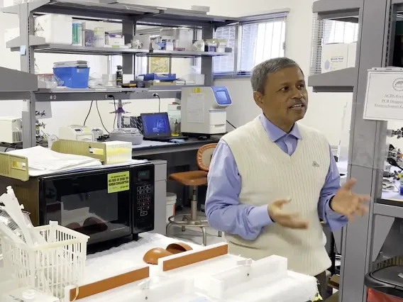 Professor Arun Dhar, the inventor behind the startup AQVac, in the Aquaculture Pathology Lab.