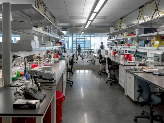 A University of Arizona lab at the Biomedical Sciences Partnership building.  