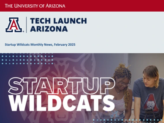 Startup Wildcats newsletter header