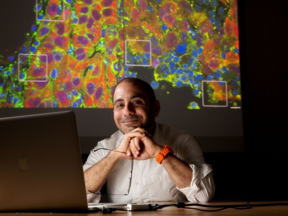 Ghassan Mouneimne, PhD