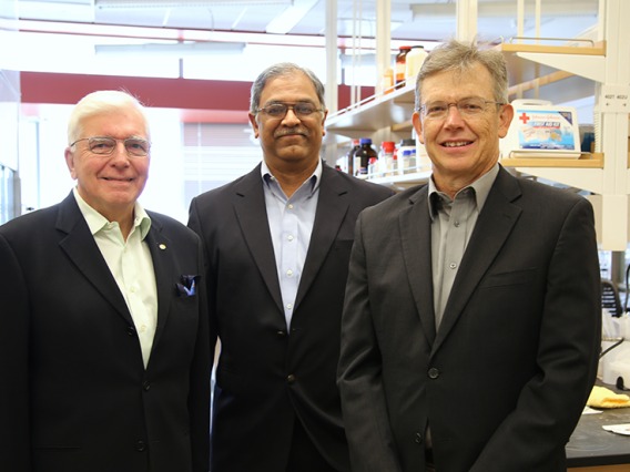 A photo in the laboratory of Reglagene's Laurence Hurley, Vijay Gokhale, and Richard Austin.