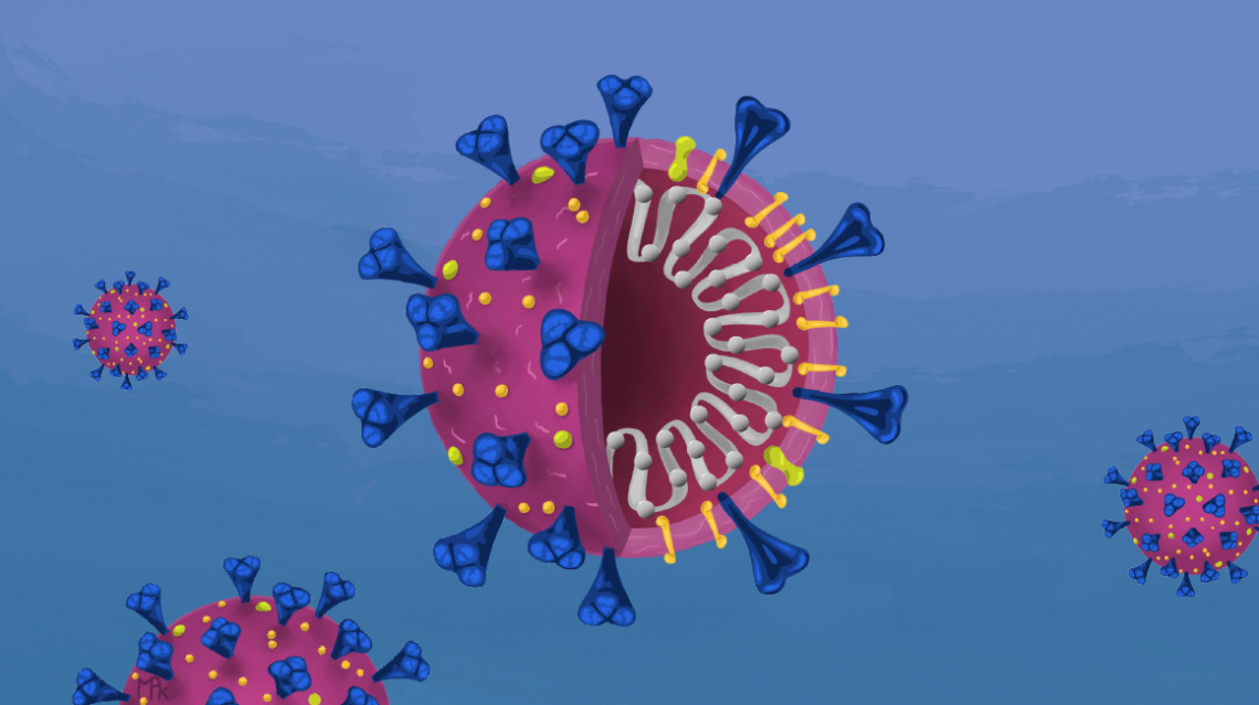 An illustration of the COVID-19 virus