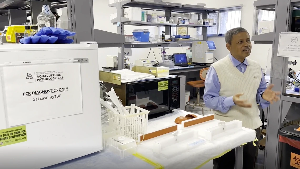 Professor Arun Dhar, the inventor behind the startup AQVac, in the Aquaculture Pathology Lab.