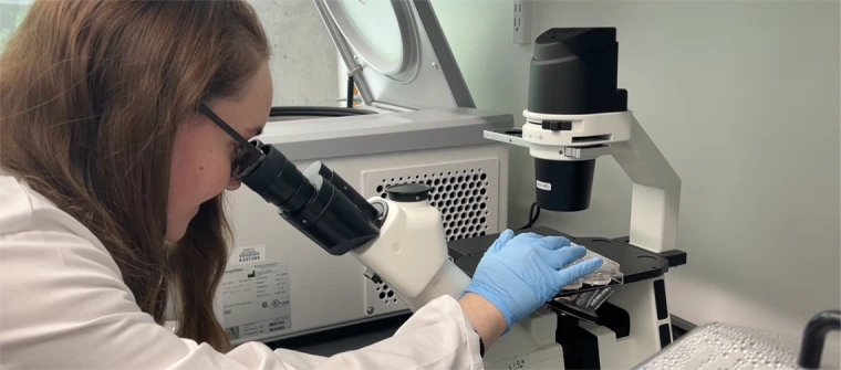 Hannah Pizzato in the lab looking through a microscope.