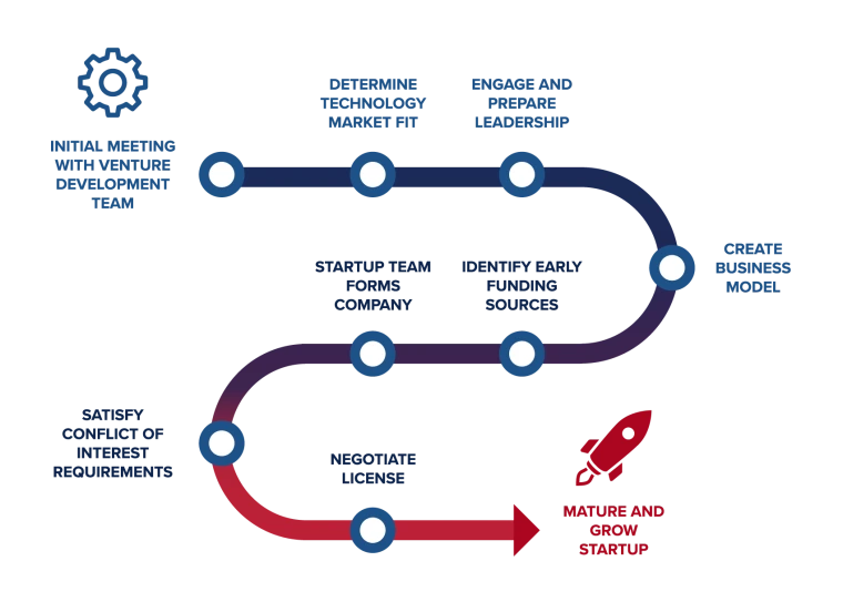 From the initial Venture Development Team meeting, the Startup Process covers market analysis, preparing a leadership team and business model, forming the company, satisfying conflict of interest requirements and negotiating the license.