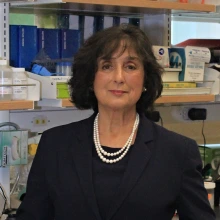 Roberta Brinton standing in her lab.