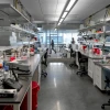 A University of Arizona lab at the Biomedical Sciences Partnership building.  